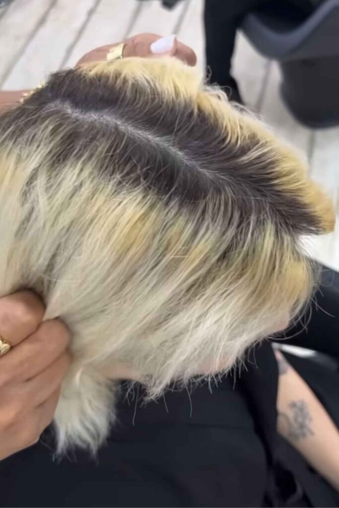 12 Blonde Hair With Dark Roots Ideas That Look Intentional, Not Overgrown 12 Common Mistakes That Ruin Dark Root Blonde